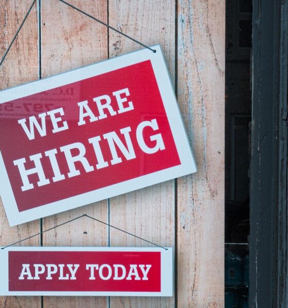 Crypto Hiring Surges Past 1,200 Openings in September as Applicant Interest Declines