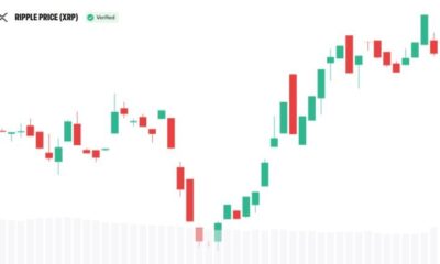 Bitwise CIO Details XRP’s Appeal for Institutional Investors
