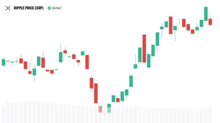 Bitwise CIO Details XRP’s Appeal for Institutional Investors
