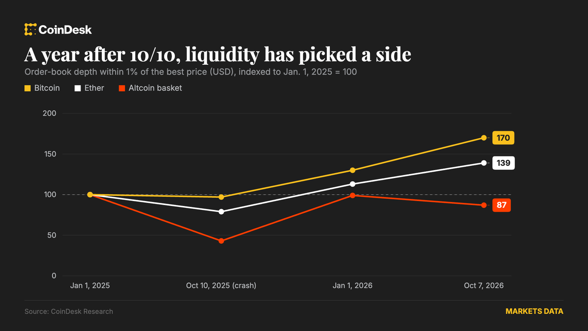 Bitcoin and Ether Liquidity Recover One Year After Flash Crash, While Altcoins Remain Exposed