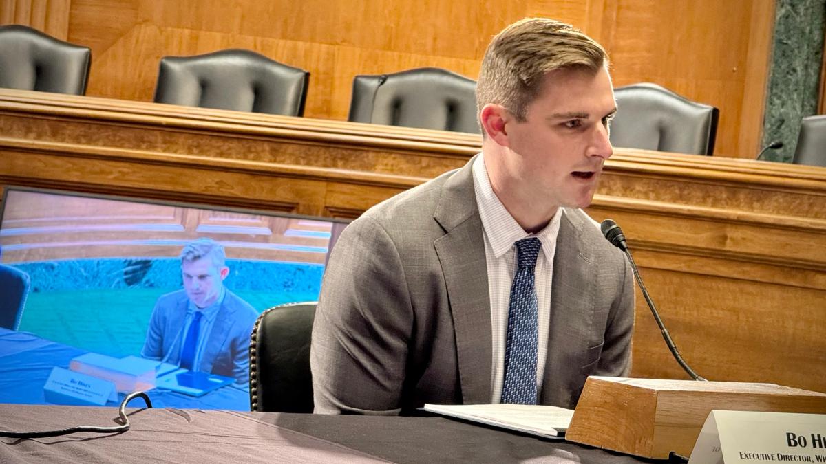 Senate Democrat Investigates Tether Payments to Bo Hines’ Company